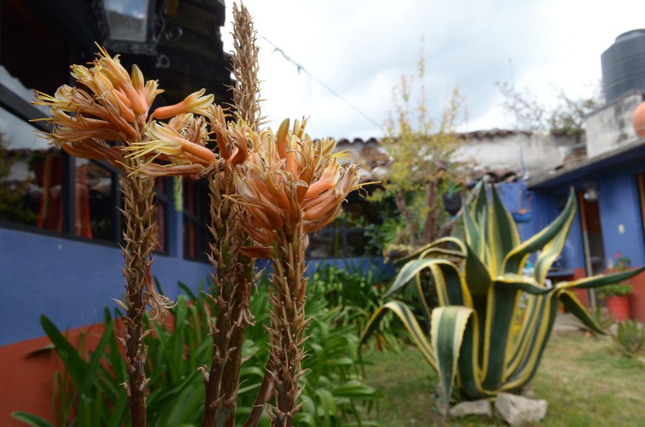 Hostal El Rincon De Los Camellos ซานกริสโตบัล เด ลาสกาซาส ภายนอก รูปภาพ