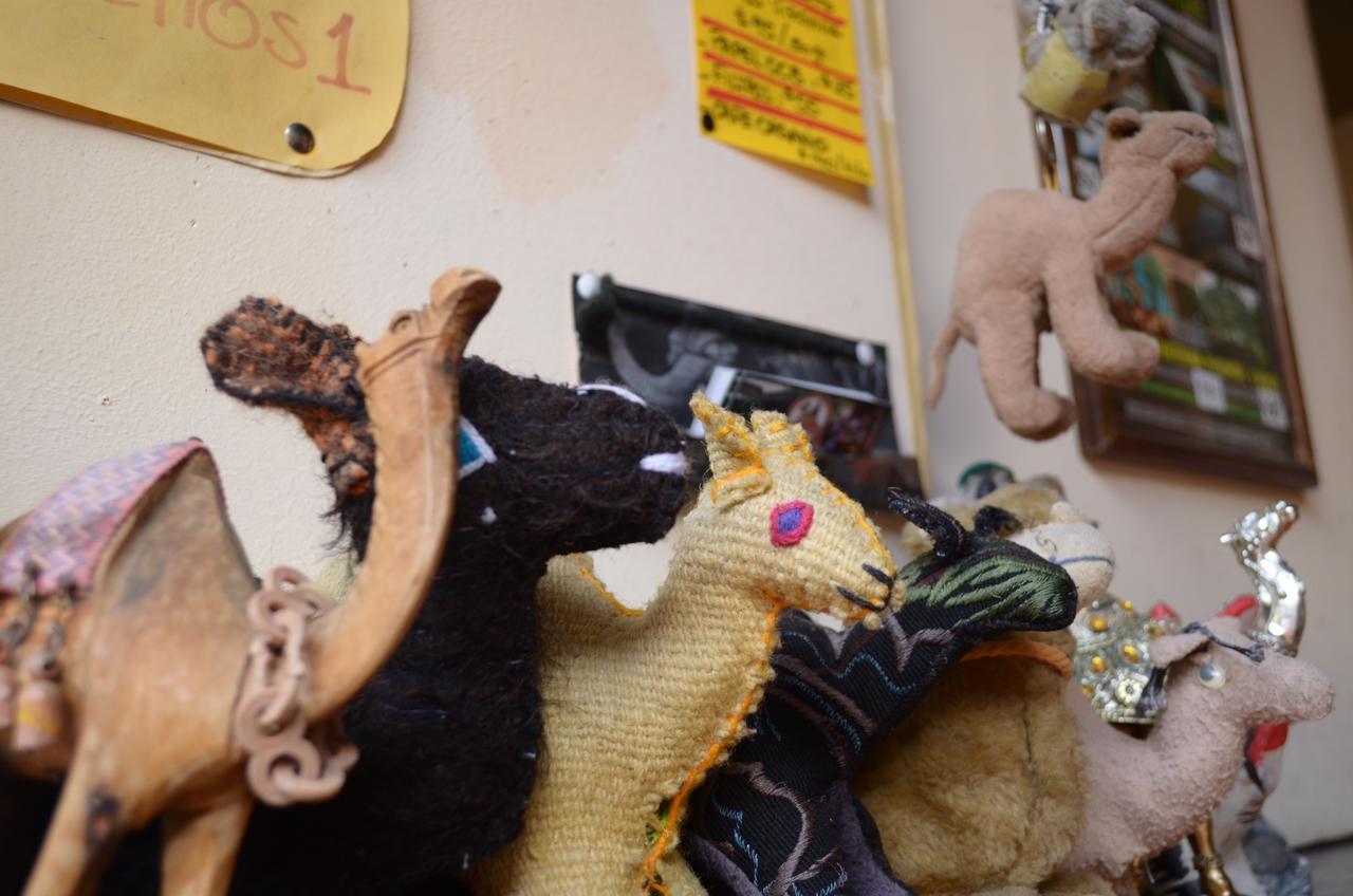 Hostal El Rincon De Los Camellos ซานกริสโตบัล เด ลาสกาซาส ภายนอก รูปภาพ