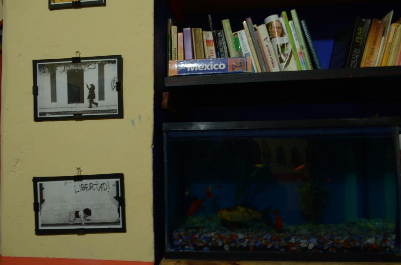 Hostal El Rincon De Los Camellos ซานกริสโตบัล เด ลาสกาซาส ภายนอก รูปภาพ