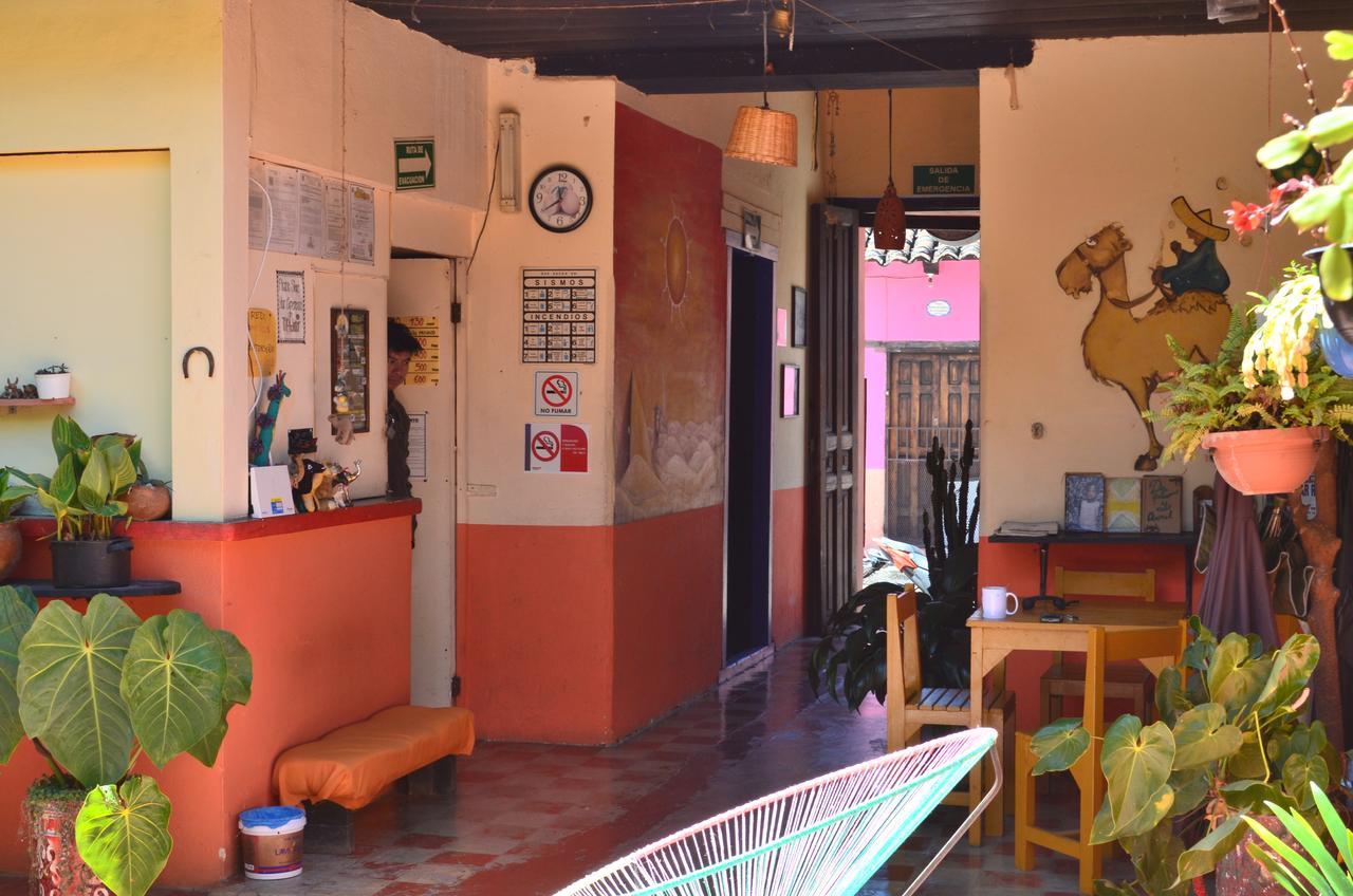 Hostal El Rincon De Los Camellos ซานกริสโตบัล เด ลาสกาซาส ภายนอก รูปภาพ