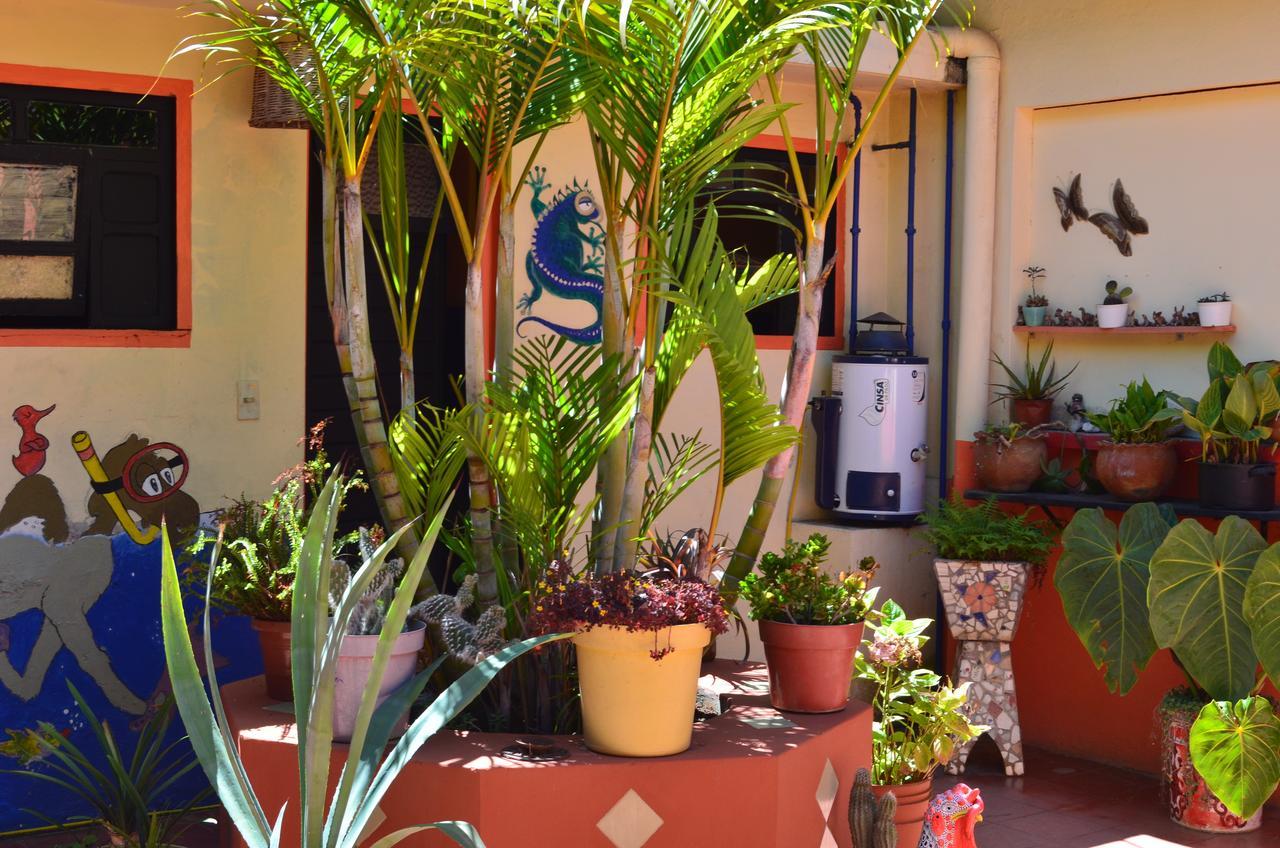 Hostal El Rincon De Los Camellos ซานกริสโตบัล เด ลาสกาซาส ภายนอก รูปภาพ